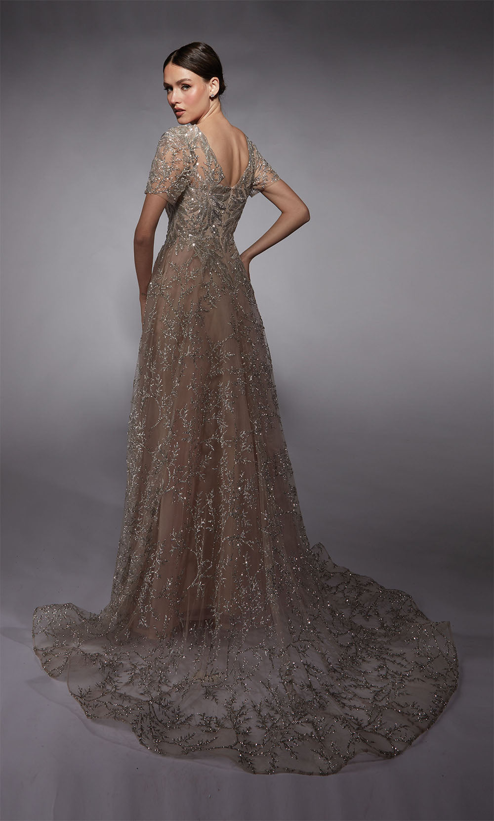 ALYCE Paris 27726 Special Occasion Illusion Neckline Modest A Line Dress