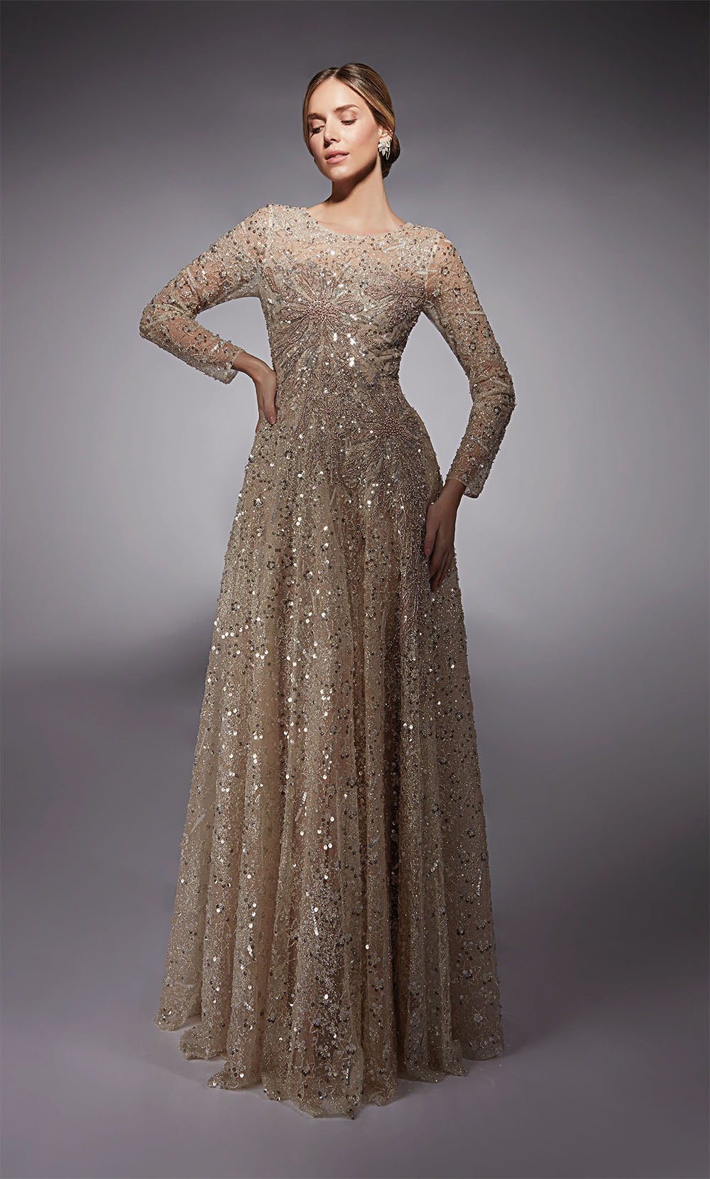 ALYCE Paris 27757 Special Occasion Illusion Neckline Shimmery/sparkly A Line Dress