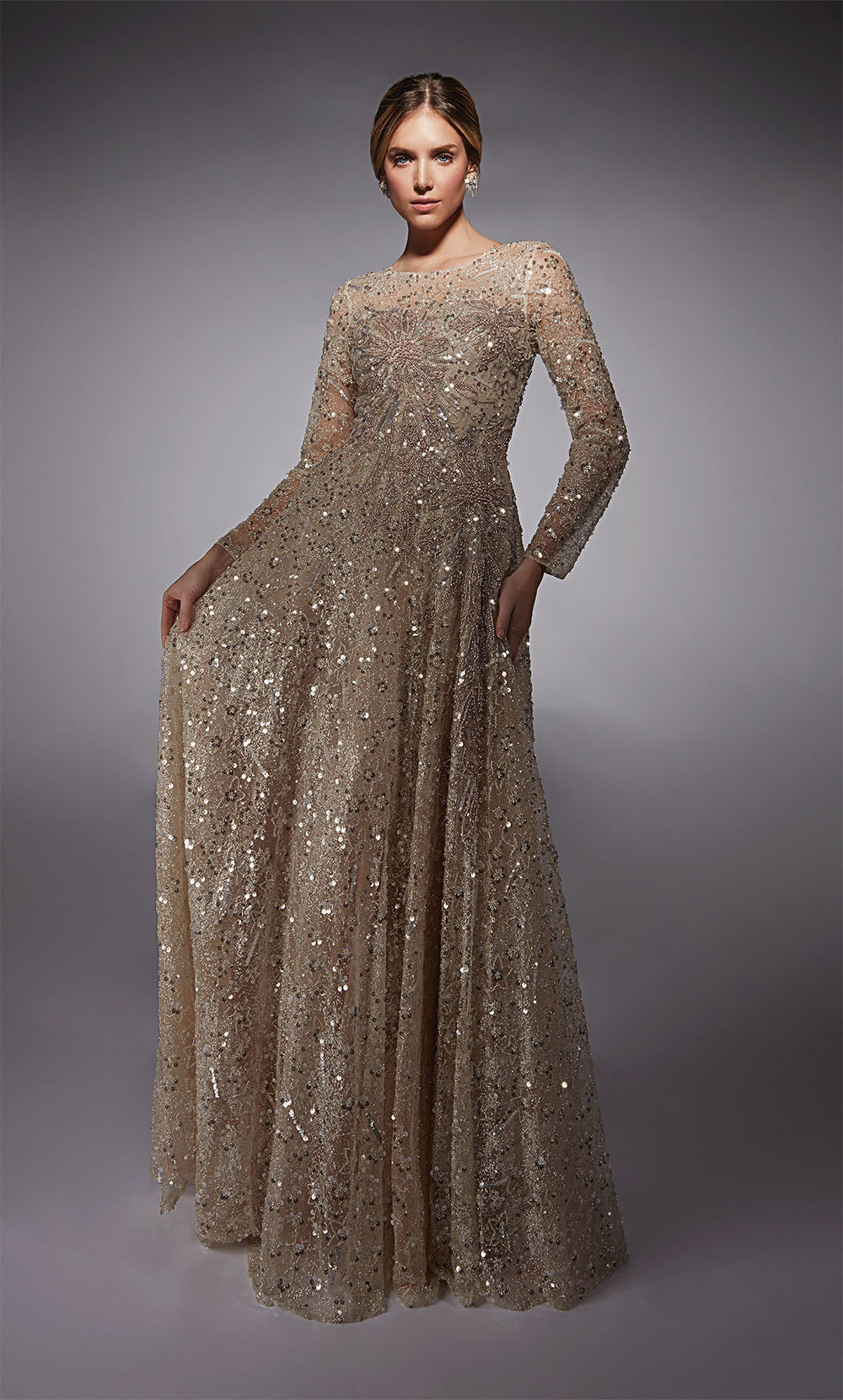 ALYCE Paris 27757 Special Occasion Illusion Neckline Shimmery/sparkly A Line Dress