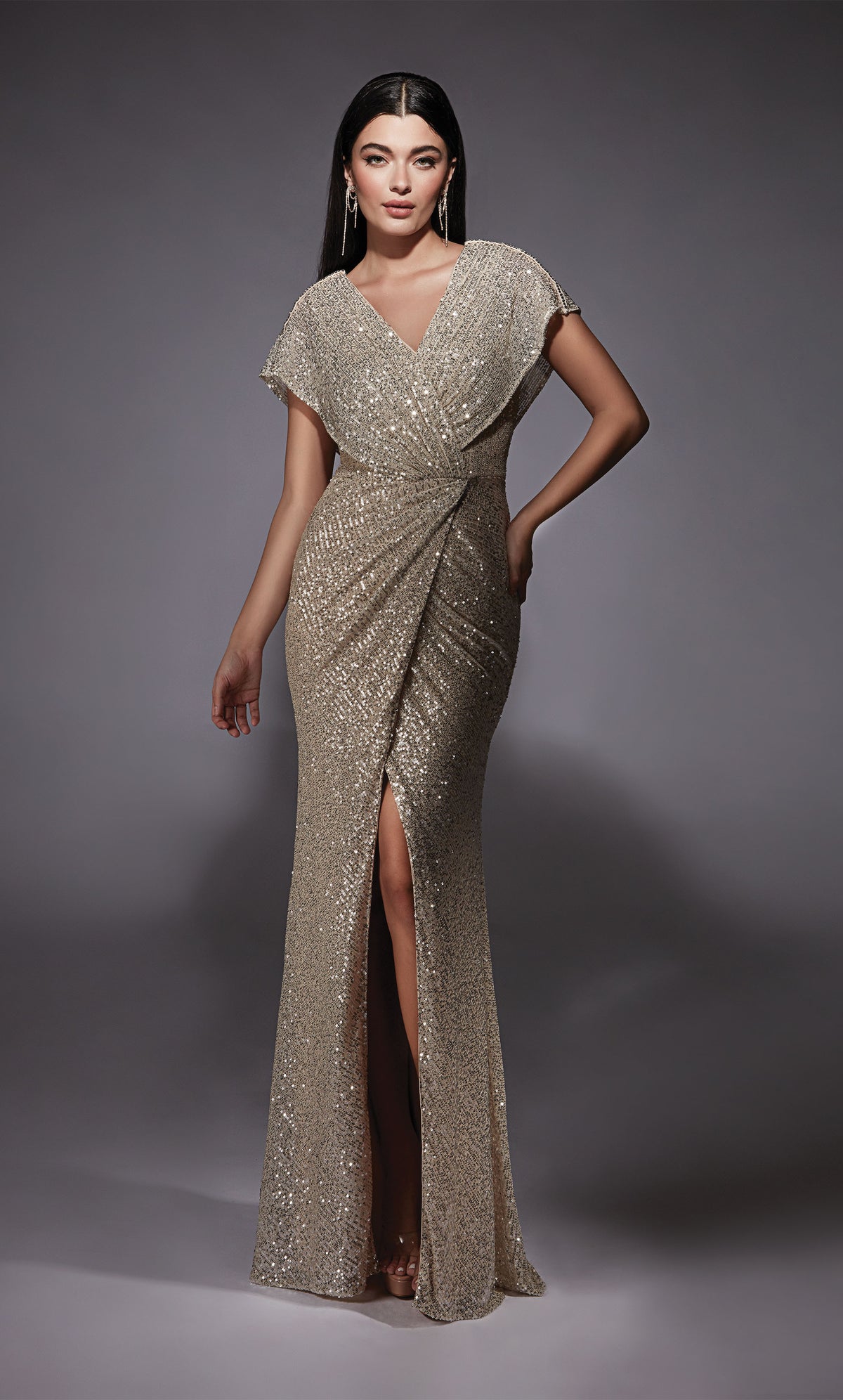 Formal Dress: 27729. Long, V-neck, Straight, V Shaped Back