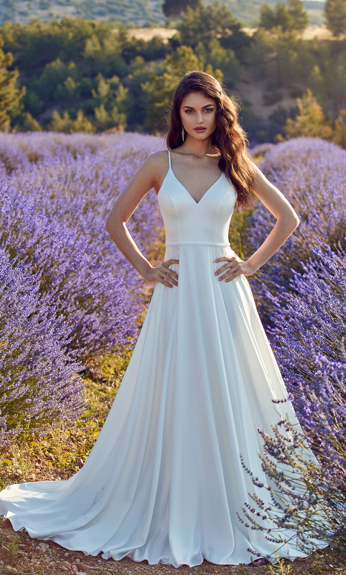 Formal Dress: 7089. Long, V-neck, A-line, V Shaped Back