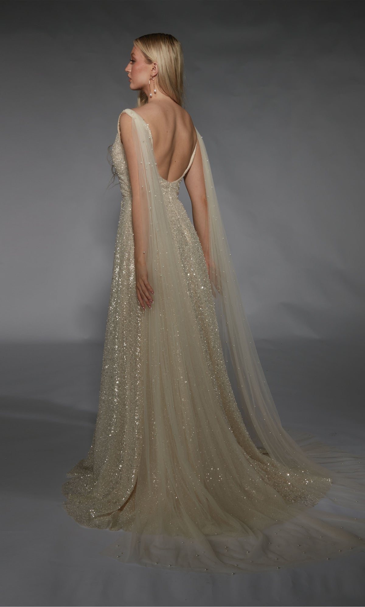 Formal Dress: 7134. Long, Plunging Neckline, A-line, Open Back